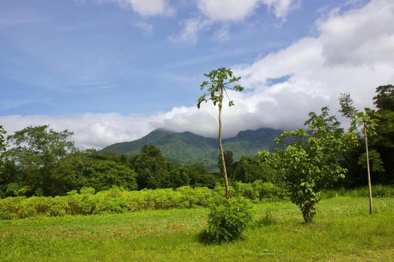 Lorenzo'S Farm And Leisure Santo Tomas المظهر الخارجي الصورة