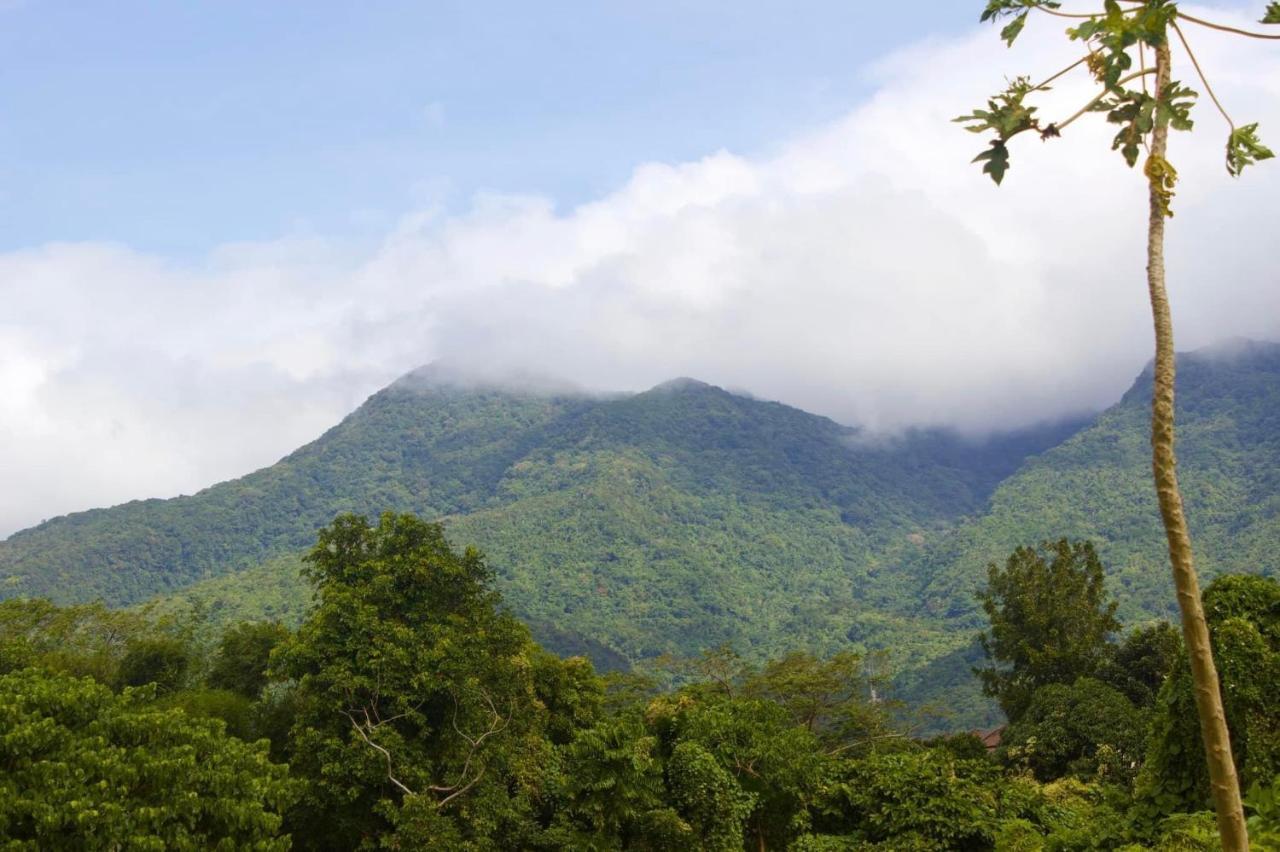 Lorenzo'S Farm And Leisure Santo Tomas المظهر الخارجي الصورة