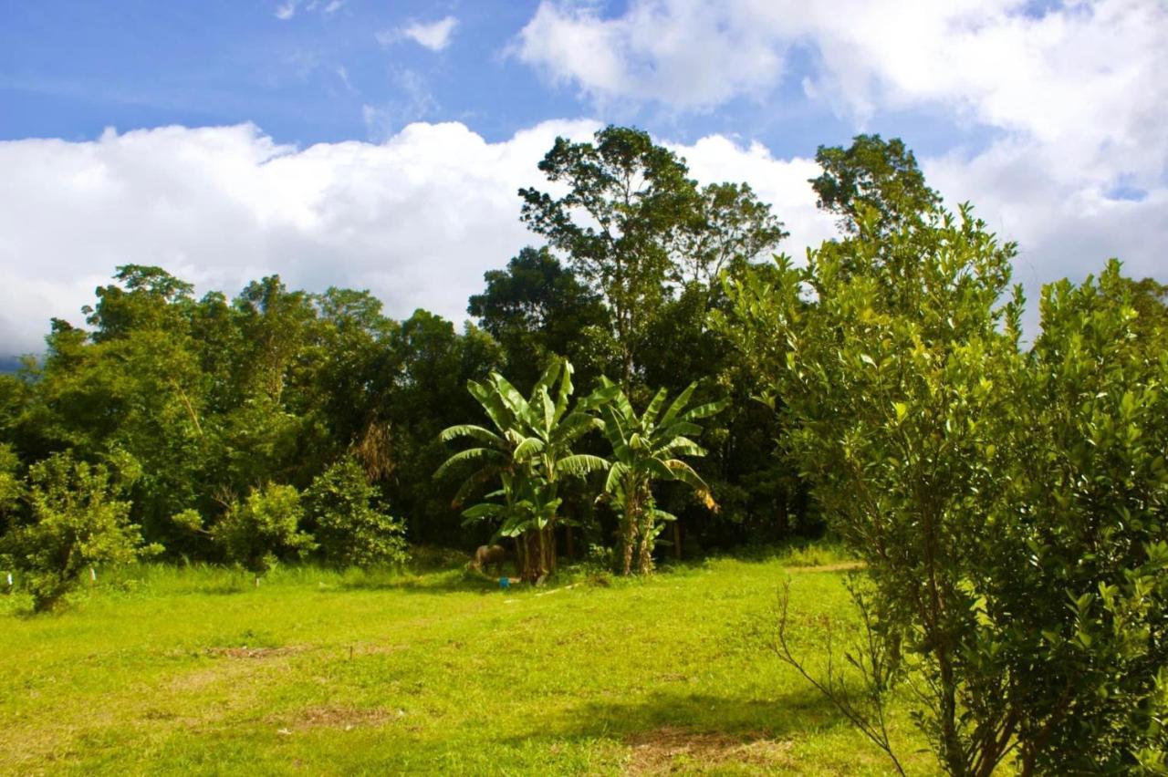 Lorenzo'S Farm And Leisure Santo Tomas المظهر الخارجي الصورة