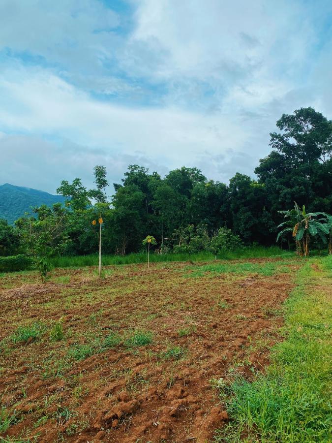 Lorenzo'S Farm And Leisure Santo Tomas المظهر الخارجي الصورة