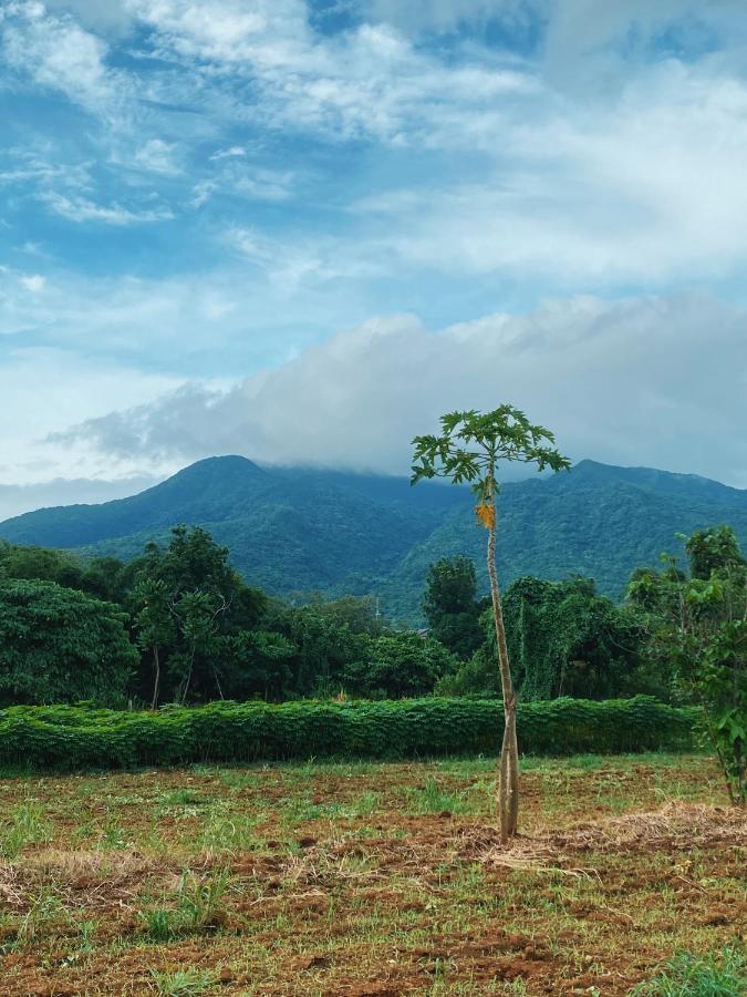 Lorenzo'S Farm And Leisure Santo Tomas المظهر الخارجي الصورة